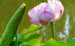 大学和大专有什么区别