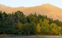 玻璃吸盘如何使用方法