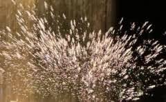 茄子可以和香菜一起包水饺吗