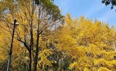 砼配重块用什么型号