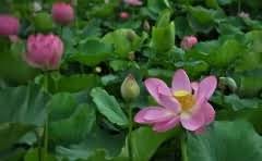 挂科有学业警告吗