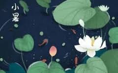 ktv服务员必须漂亮吗