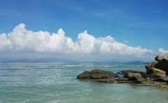 笑的结构和部首是什么呢?